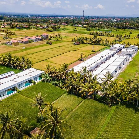 Green Flow Ubud Villas III Εξωτερικό φωτογραφία